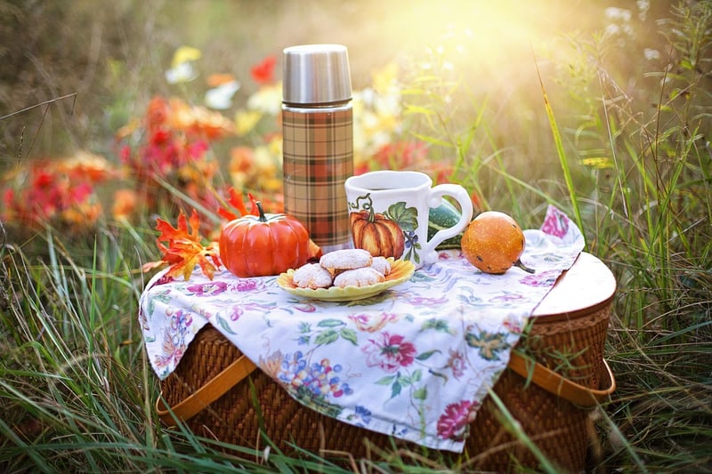 Enchanted Picnics